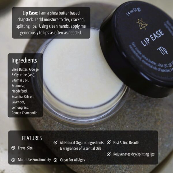 Lip Ease chapstick in a small container with various info about the product on the image.